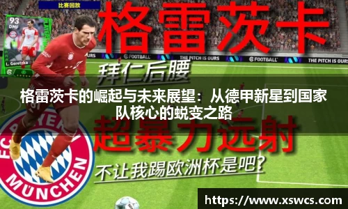 B体育bsports